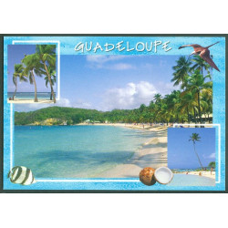 GUADELOUPE ISLAND